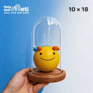 Chụp thủy tinh đế gỗ 10x18