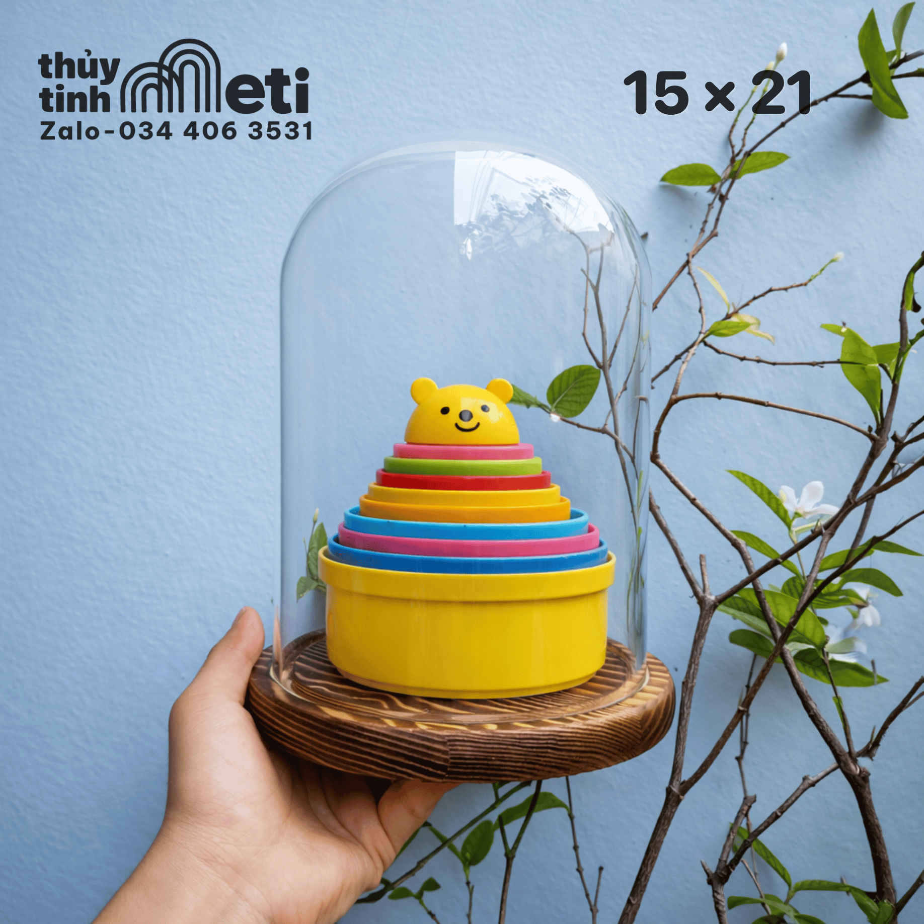 Chụp thủy tinh đế gỗ 15x21 (2) Chụp thủy tinh đế gỗ 15x21