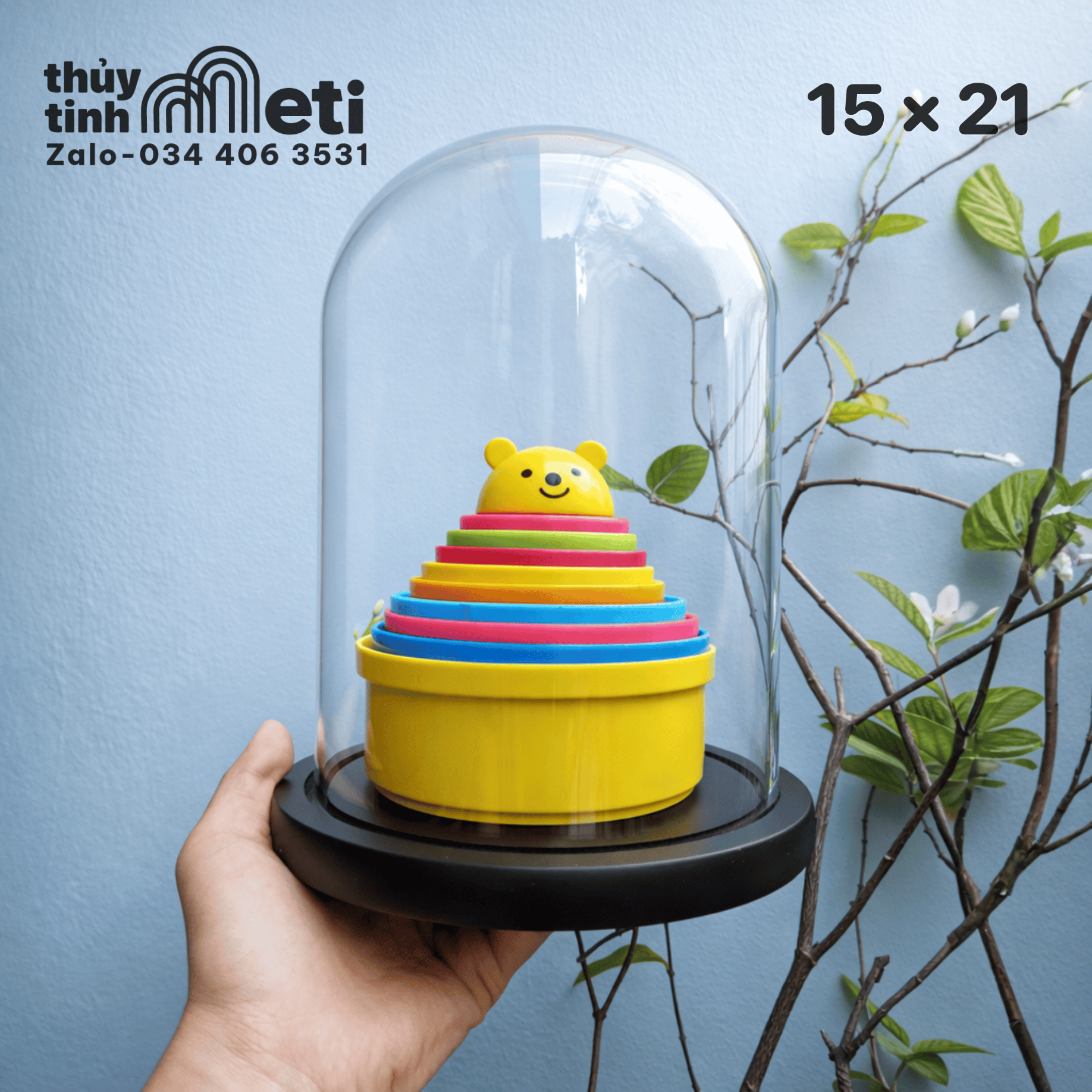 Chụp thủy tinh đế gỗ 15x21 (3) Chụp thủy tinh đế gỗ 15x21