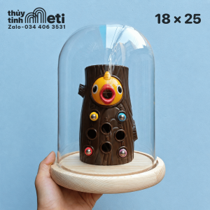Chụp thủy tinh đế gỗ 18x25