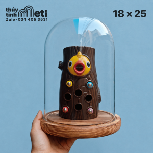 Chụp thủy tinh đế gỗ 18x25