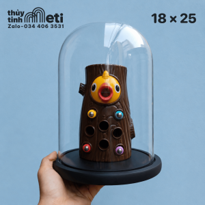 Chụp thủy tinh đế gỗ 18x25