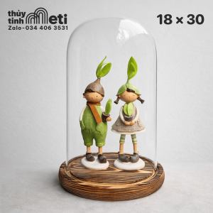 Chụp thủy tinh đế gỗ 18x30
