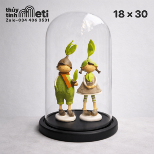 Chụp thủy tinh đế gỗ 18x30