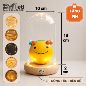 Chụp thủy tinh đế gỗ đèn led 10x18