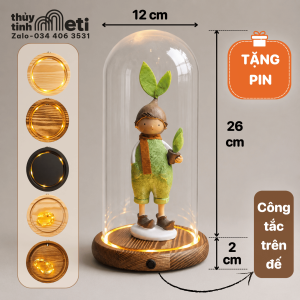 Chụp thủy tinh đế gỗ đèn led 12x26