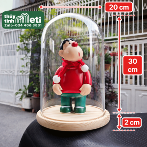 Chụp thủy tinh đế gỗ 20x30