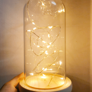 Chụp thủy tinh đế gỗ đèn LED dây 10cm