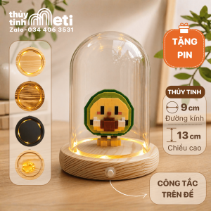 Chụp thủy tinh đế gỗ đèn led 9x13