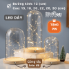 Chụp thủy tinh đế gỗ đèn led dây 12cm