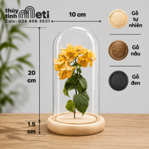 Chụp thủy tinh đế gỗ 10x20