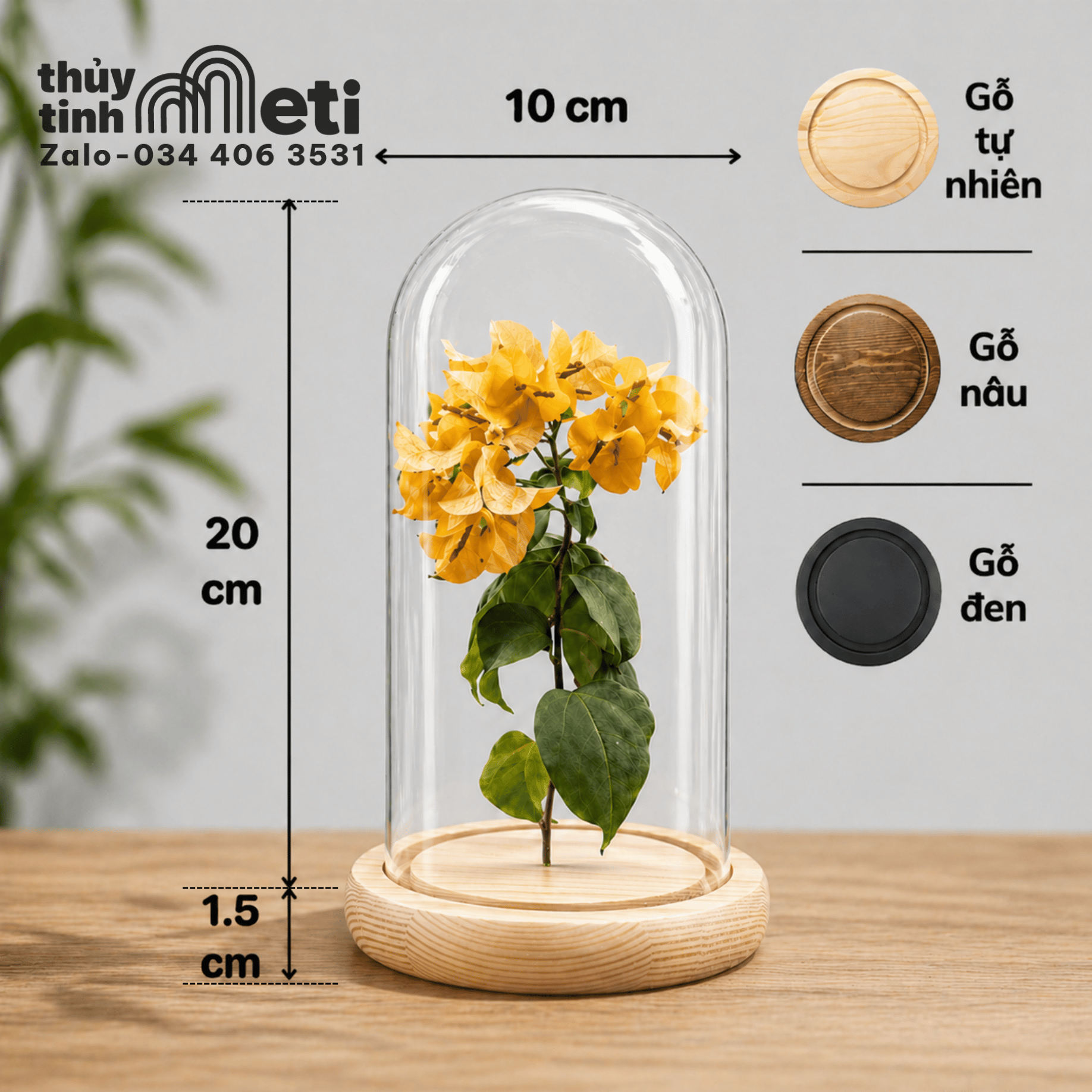 Chụp thủy tinh đế gỗ 10x20 Chụp thủy tinh đế gỗ 10x20