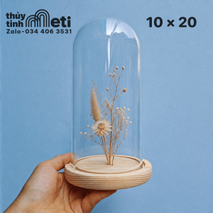Chụp thủy tinh đế gỗ 10x20