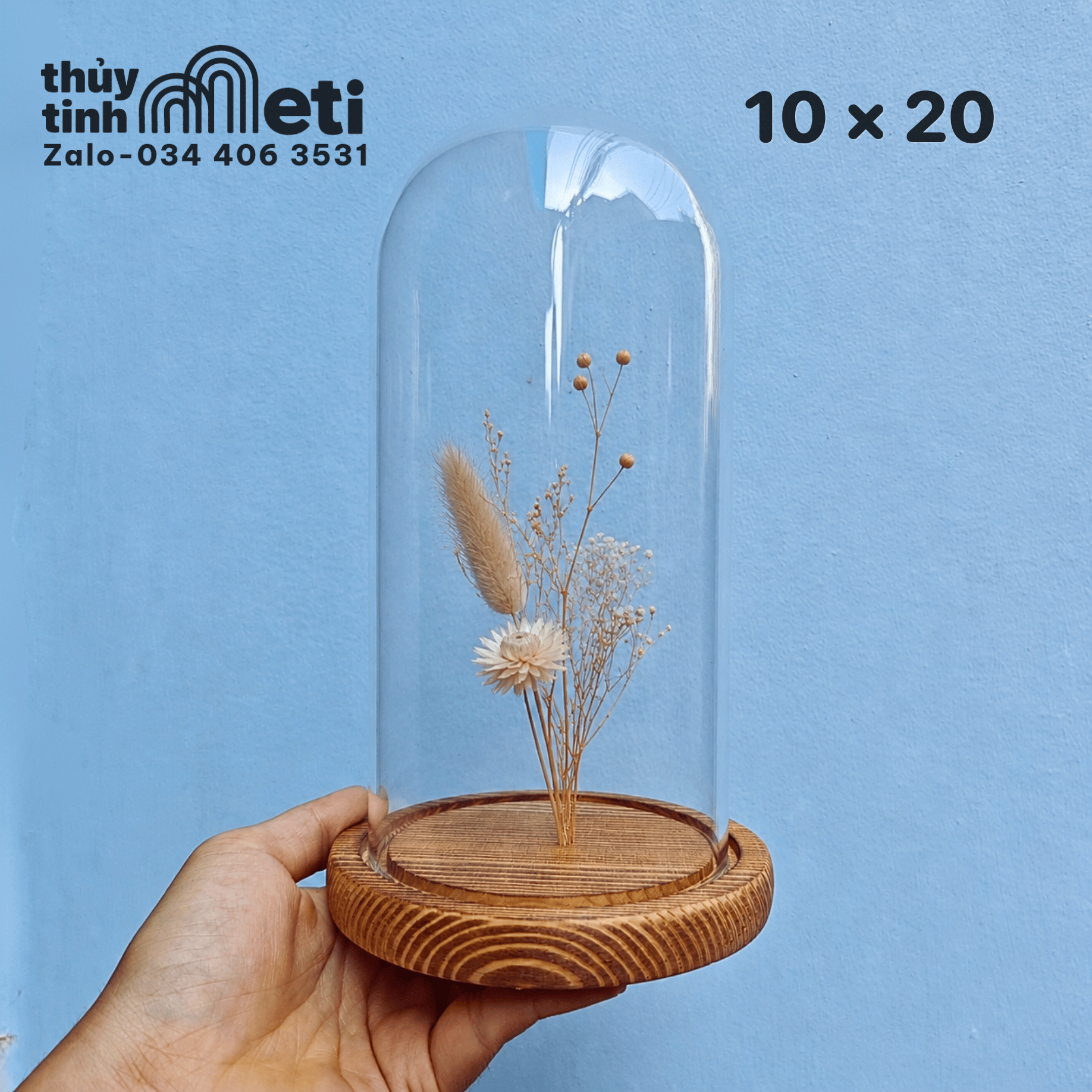 Chụp thủy tinh đế gỗ 10x20 (3) Chụp thủy tinh đế gỗ 10x20