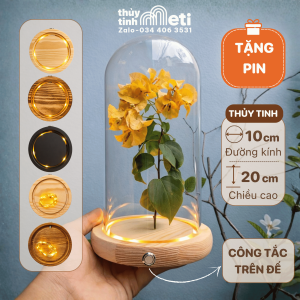 Chụp thủy tinh đế gỗ đèn led 10x20
