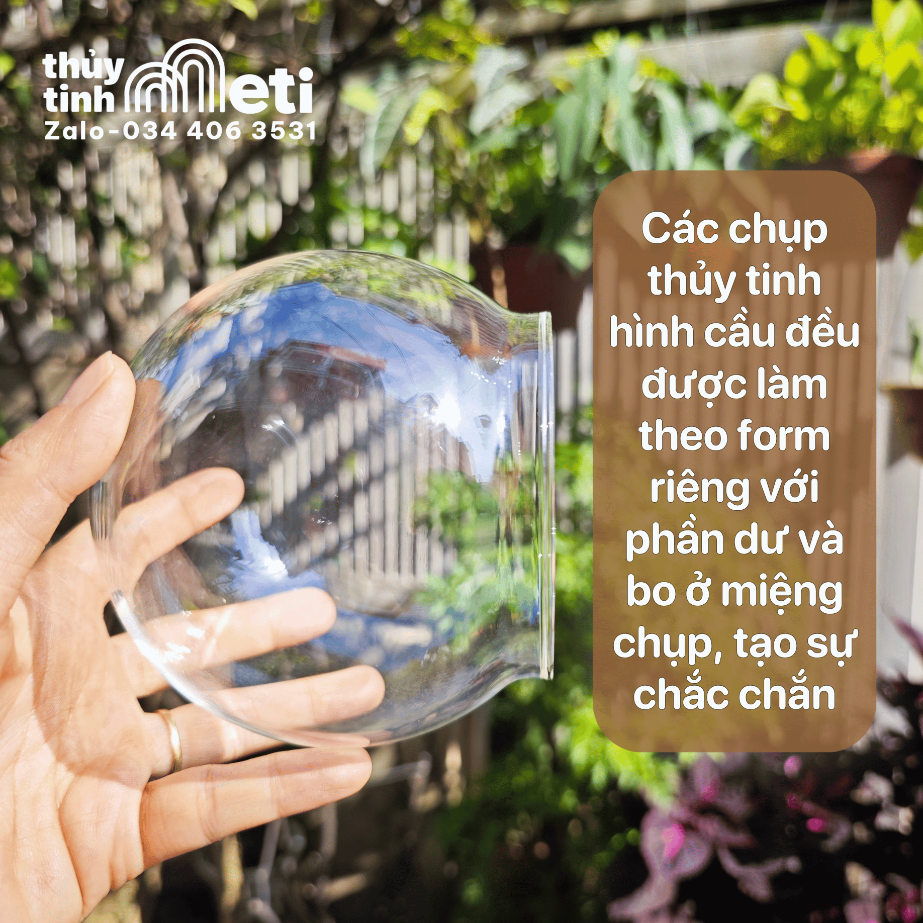 Chụp thủy tinh đế gỗ hình cầu 12cm (4) Chụp thủy tinh đế gỗ hình cầu 12cm