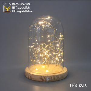 Chụp thủy tinh đế gỗ đèn LED 12x18