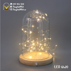 Chụp thủy tinh đế gỗ đèn LED 12x20