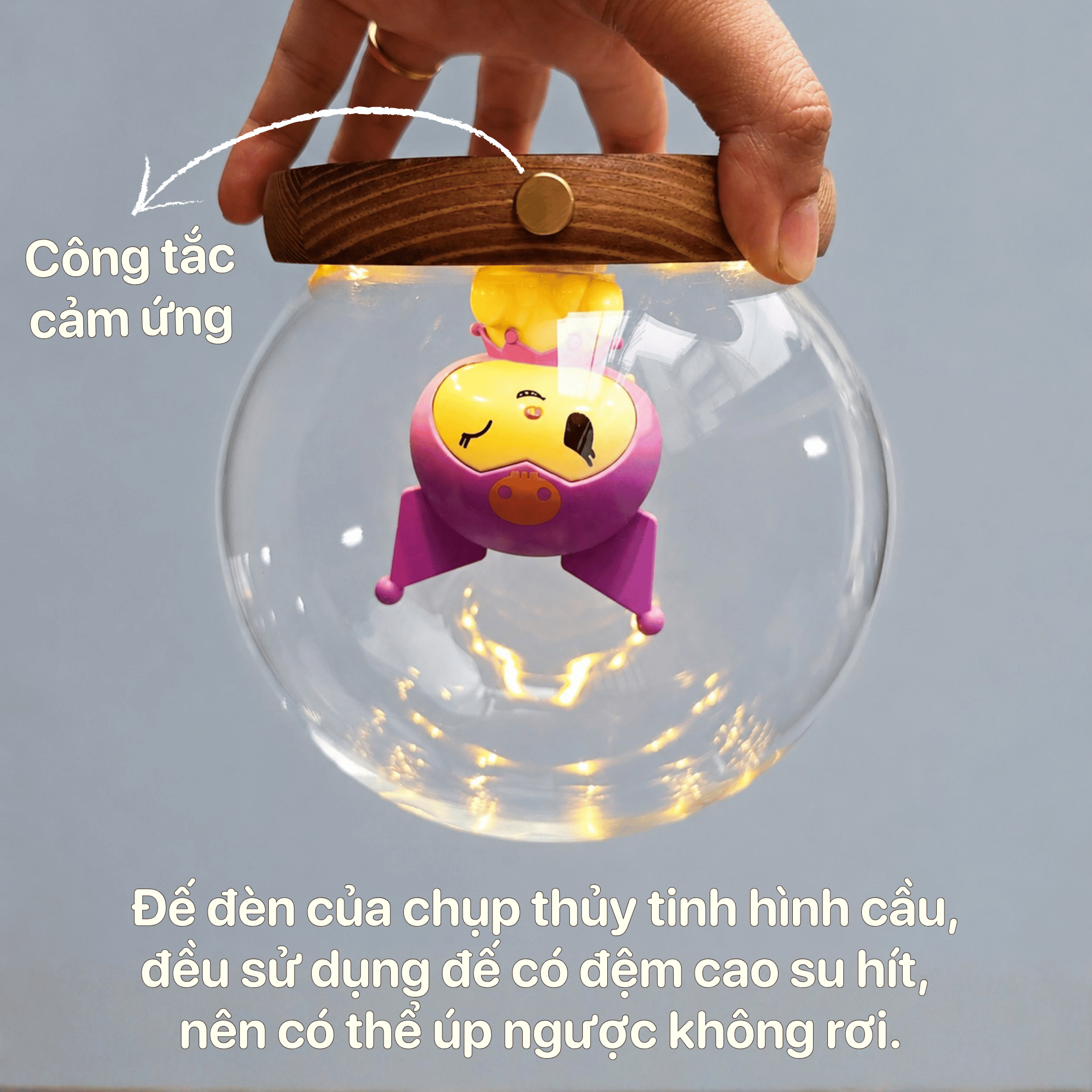 Chụp thủy tinh đế gỗ đèn led hình cầu 15cm (5) Chụp thủy tinh đế gỗ đèn led hình cầu 15cm
