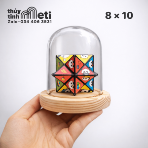Chụp thủy tinh đế gỗ 8x10