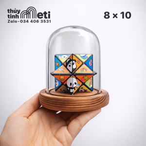 Chụp thủy tinh đế gỗ 8x10