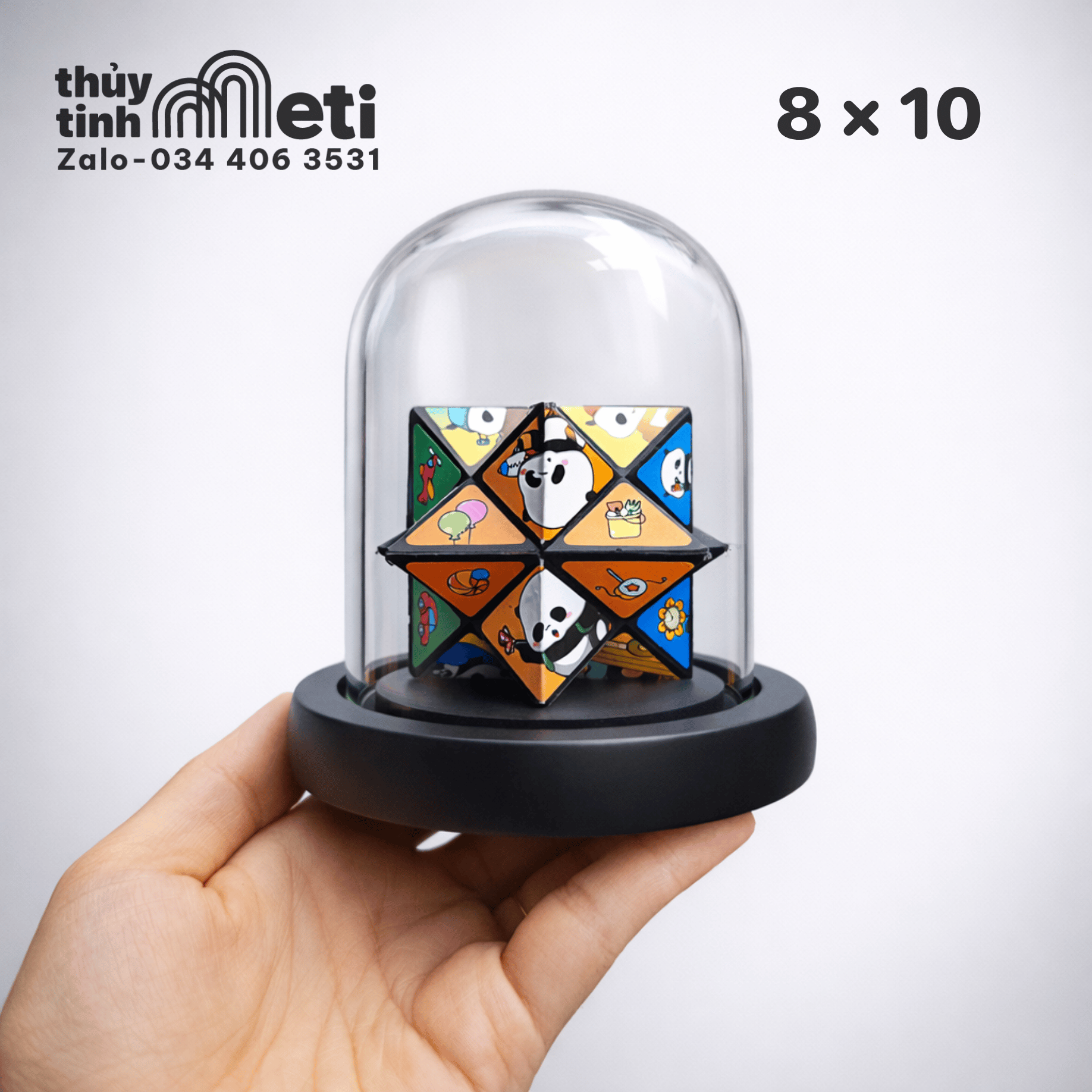 Chụp thủy tinh đế gỗ 8x10 (3) Chụp thủy tinh đế gỗ 8x10
