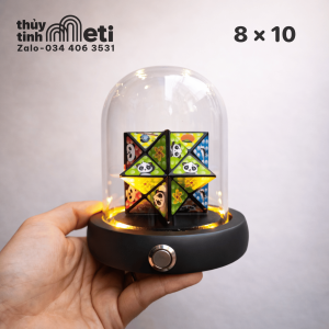 Chụp thủy tinh đế gỗ đèn led 8x10