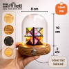 Chụp thủy tinh đế gỗ đèn led 8x10