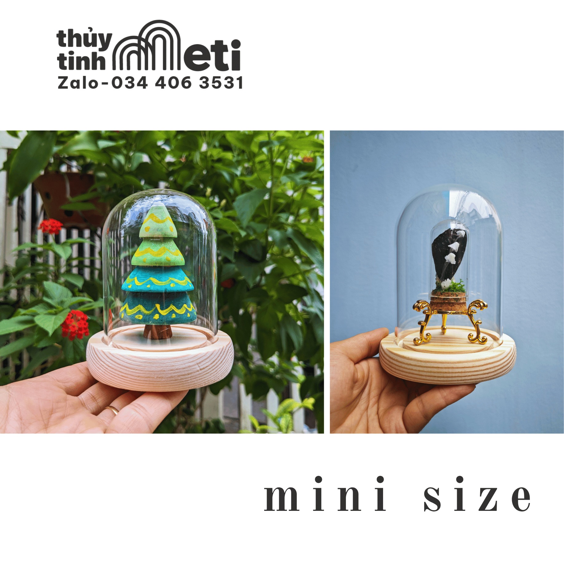 Chụp thủy tinh đế gỗ mini size Chụp thủy tinh đế gỗ mini size