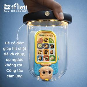 Đế gỗ chụp thủy tinh