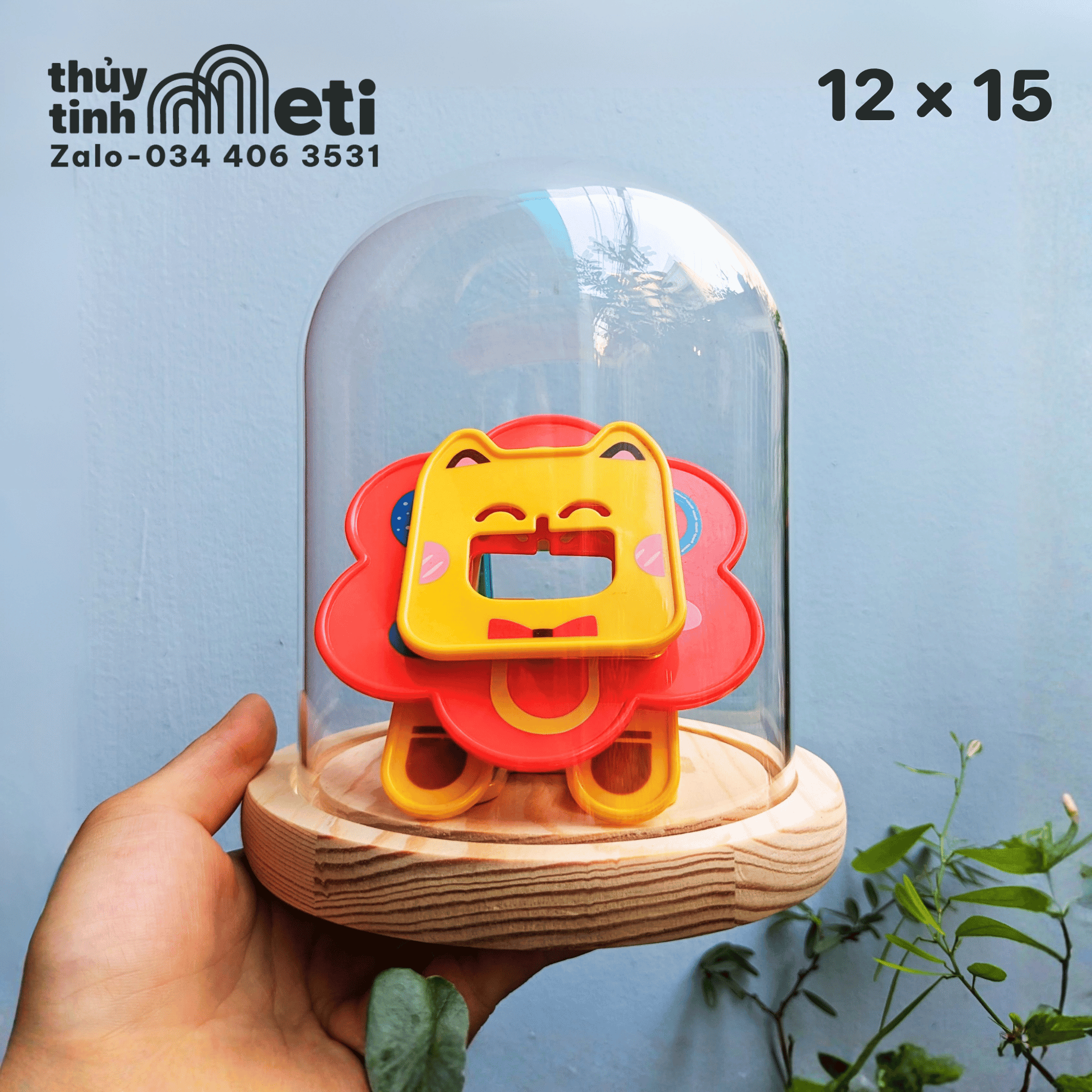 Chụp thủy tinh đế gỗ 12x15 Chụp thủy tinh đế gỗ 12x15