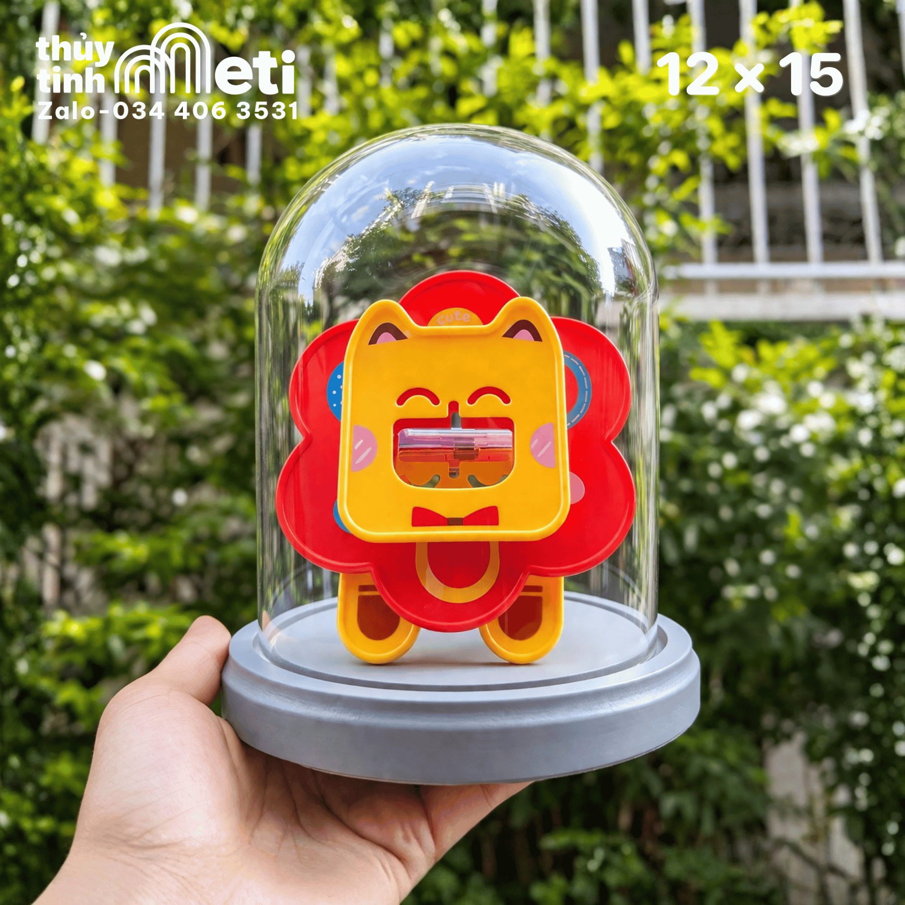 Chụp thủy tinh đế gỗ 12x15 (4) Chụp thủy tinh đế gỗ 12x15