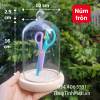 Chụp thủy tinh đế gỗ núm tròn