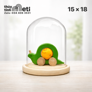 Chụp thủy tinh đế gỗ 15x18