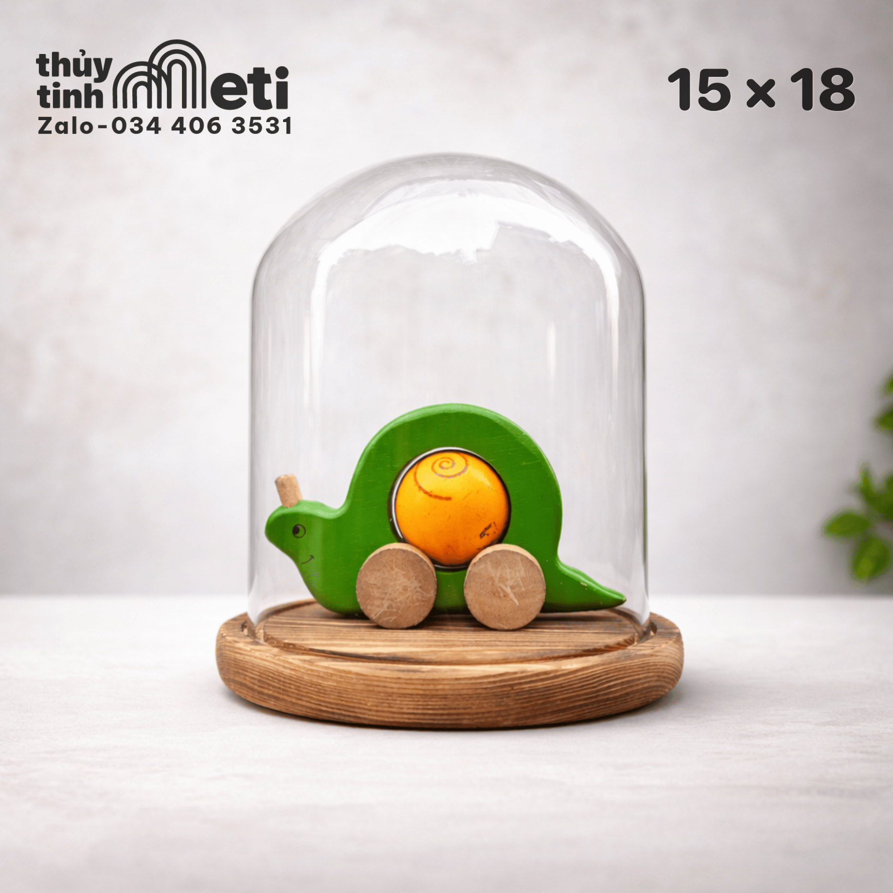 Chụp thủy tinh đế gỗ 15x18 (2) Chụp thủy tinh đế gỗ 15x18