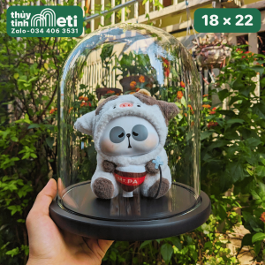 Chụp thủy tinh đế gỗ 18x22