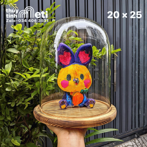 Chụp thủy tinh đế gỗ 20x25
