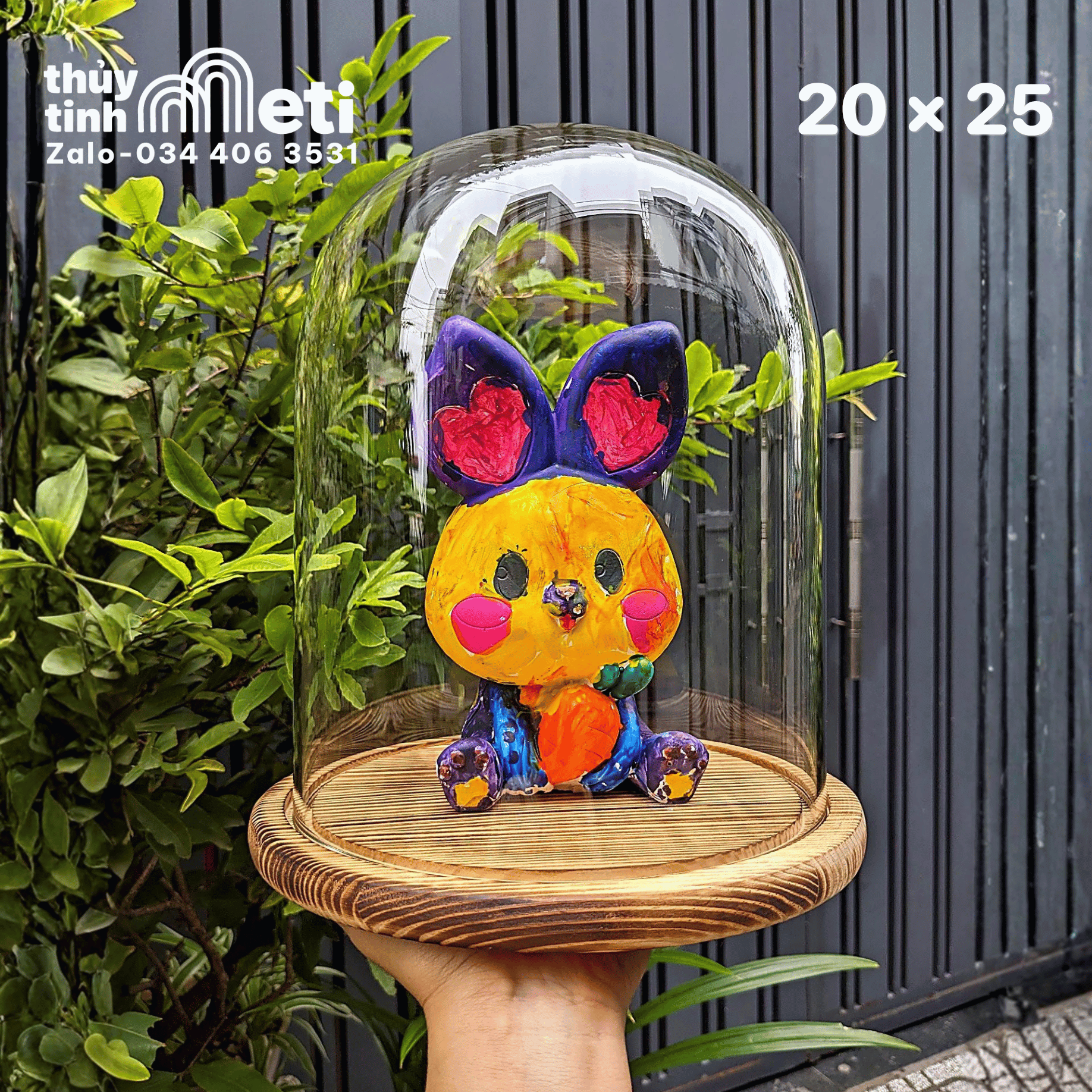 Chụp thủy tinh đế gỗ 20x25 new (2) Chụp thủy tinh đế gỗ 20x25