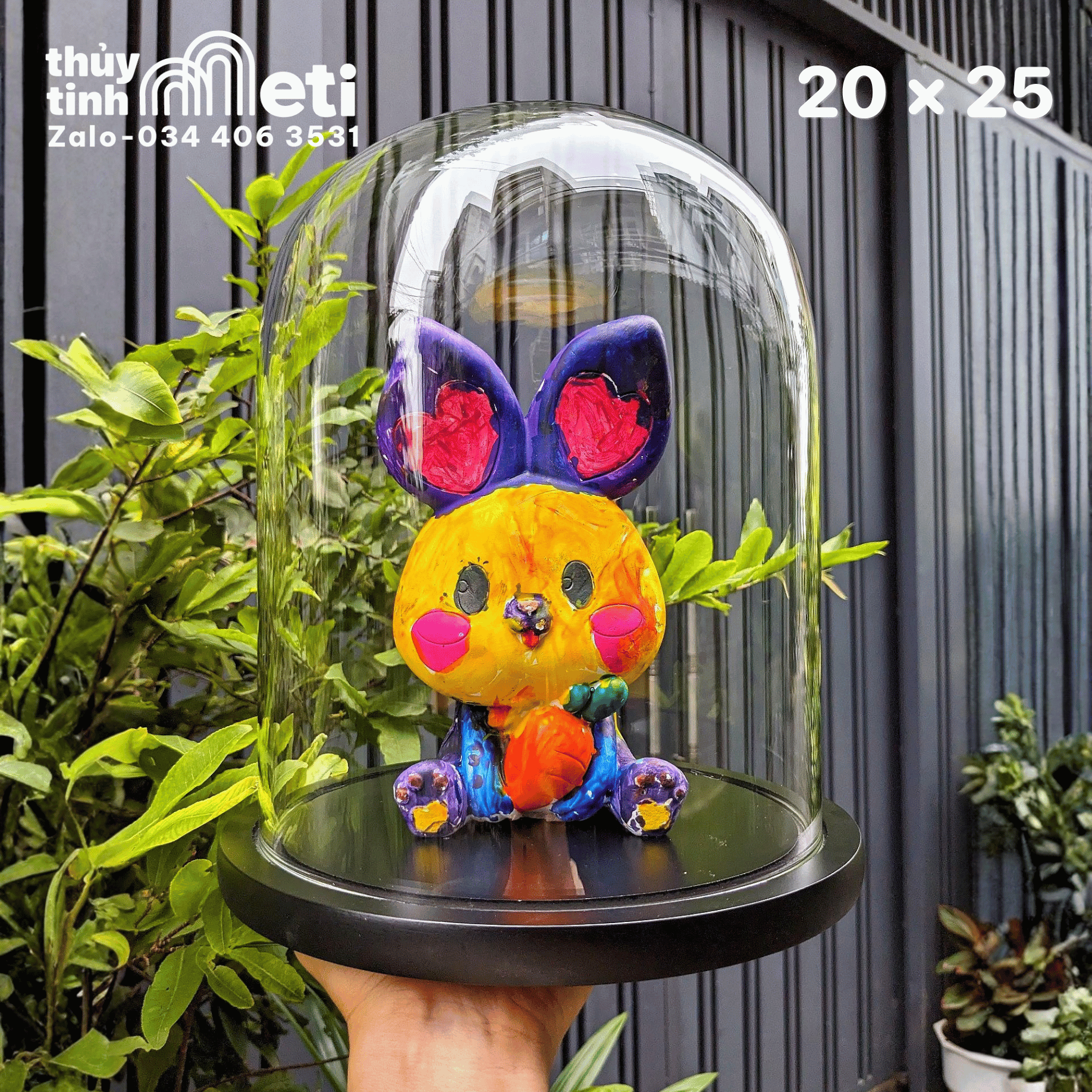 Chụp thủy tinh đế gỗ 20x25 new (3) Chụp thủy tinh đế gỗ 20x25