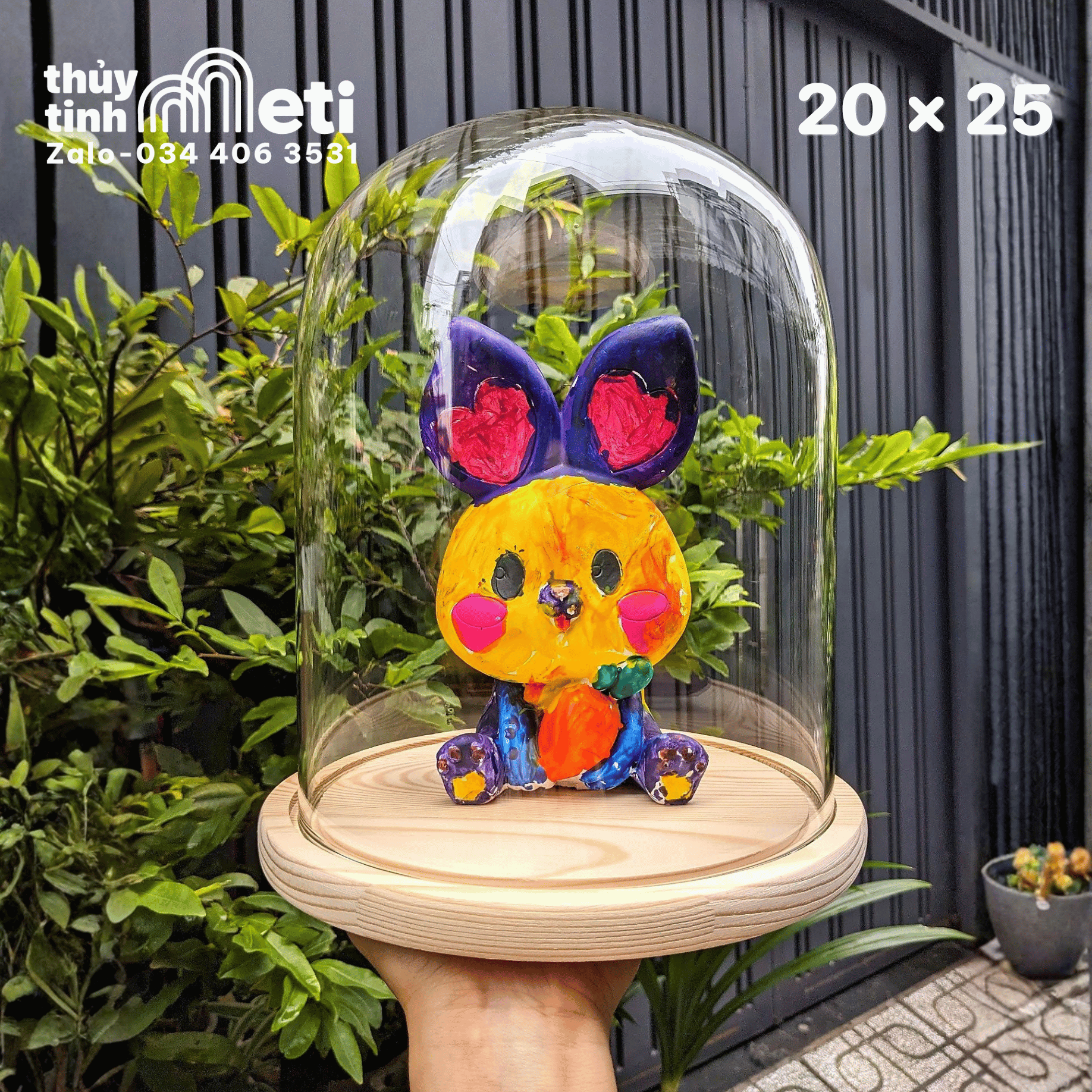 Chụp thủy tinh đế gỗ 20x25 new Chụp thủy tinh đế gỗ 20x25