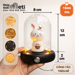 Chụp thủy tinh đế gỗ đèn led 8x12