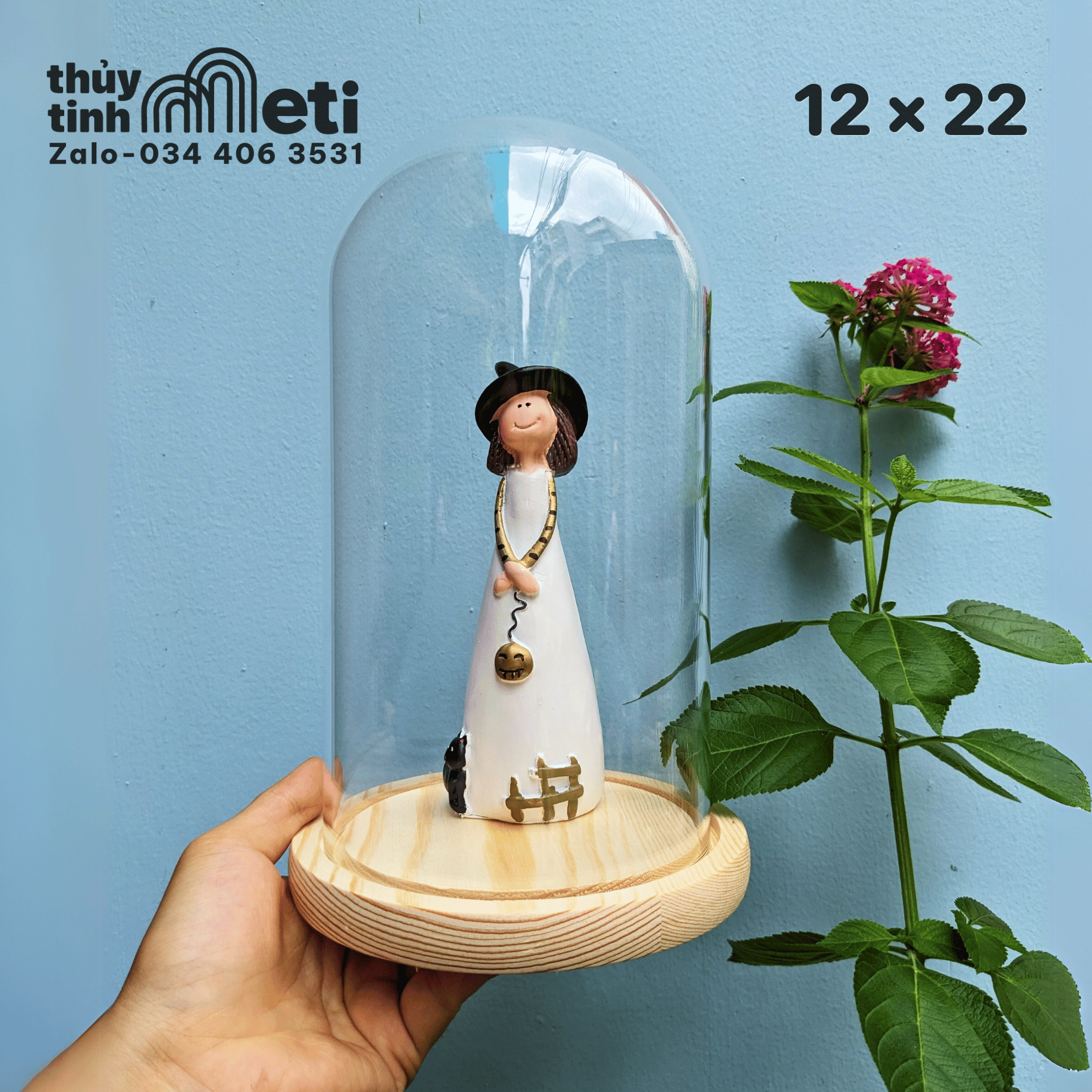 Chụp thủy tinh đế gỗ 12x22 (2) Chụp thủy tinh đế gỗ 12x22