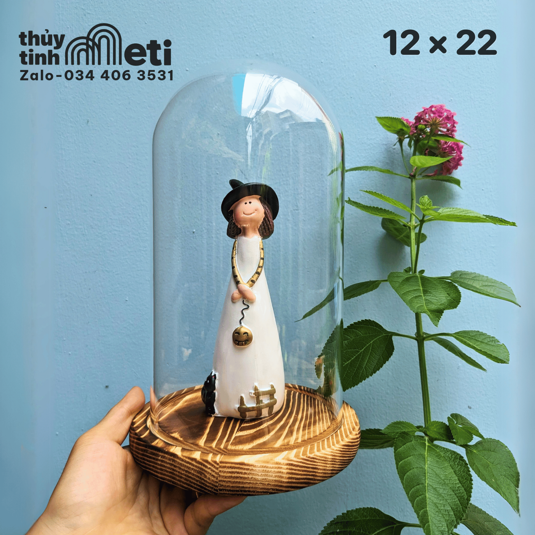 Chụp thủy tinh đế gỗ 12x22 (3) Chụp thủy tinh đế gỗ 12x22