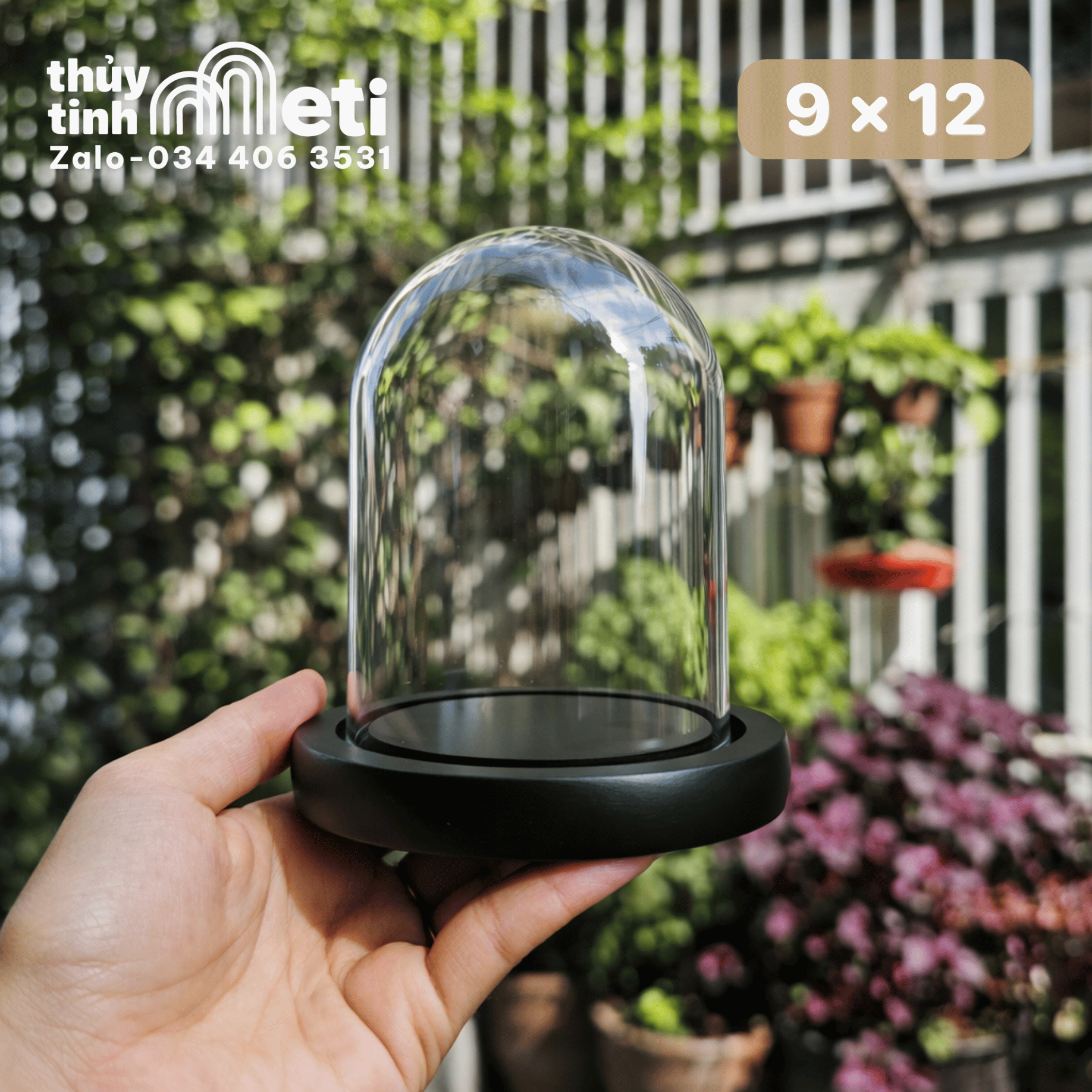Chụp thủy tinh đế gỗ 9x12 (3) Chụp thủy tinh đế gỗ 9x12