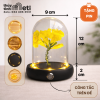 Chụp thủy tinh đế gỗ đèn led 9x12