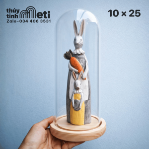 Chụp thủy tinh đế gỗ 10x25