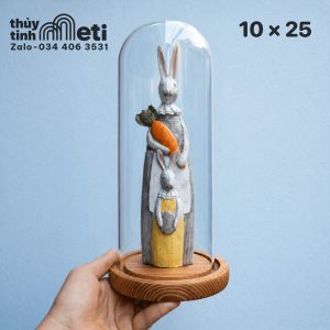Chụp thủy tinh đế gỗ 10x25