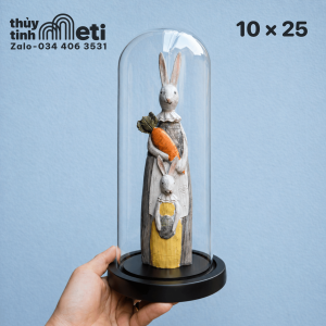 Chụp thủy tinh đế gỗ 10x25