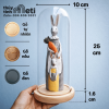 Chụp thủy tinh đế gỗ 10x25