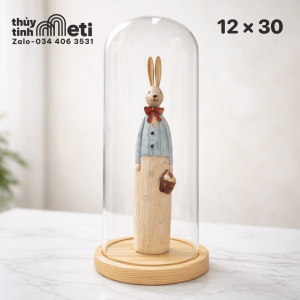 Chụp thủy tinh đế gỗ 12x30